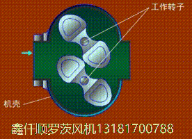 三叶罗茨鼓91免费版安装黄色工作原理gif动画