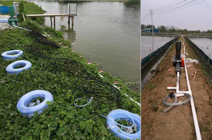 水产养殖供氧曝气罗茨91免费版安装黄色
