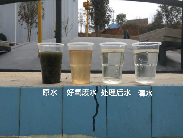 污水曝气罗茨鼓91免费版安装黄色应用案例 污水曝气罗茨鼓91免费版安装黄色应用案例