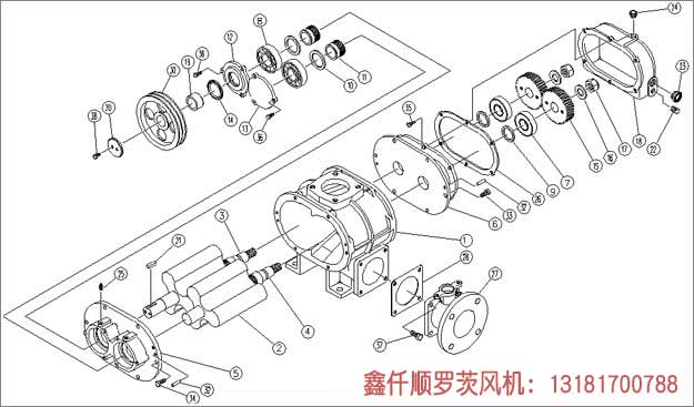 罗茨91免费版安装黄色工作组成部件