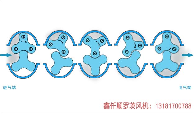 罗茨91免费版安装黄色工作原理
